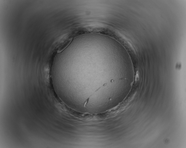 X0000102851108200808181411
