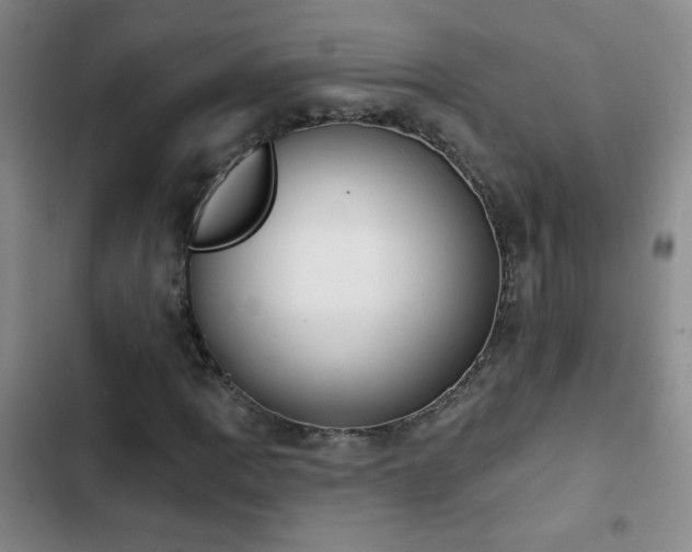 X0000102851109200808181411