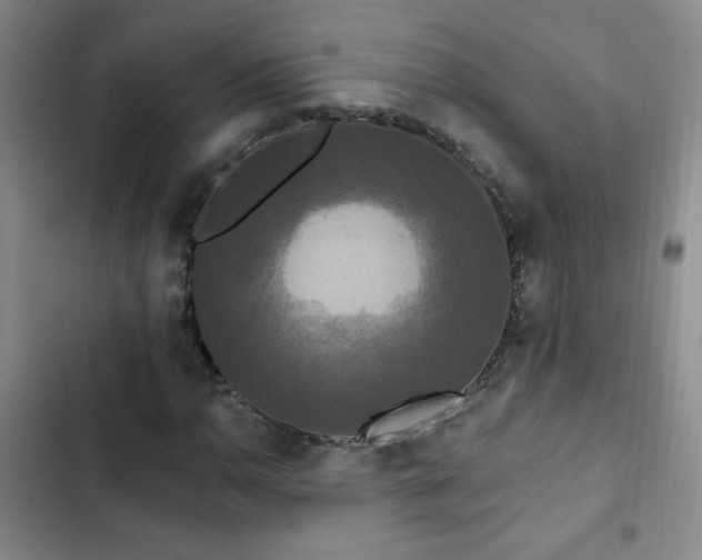 X0000102851110200808181411