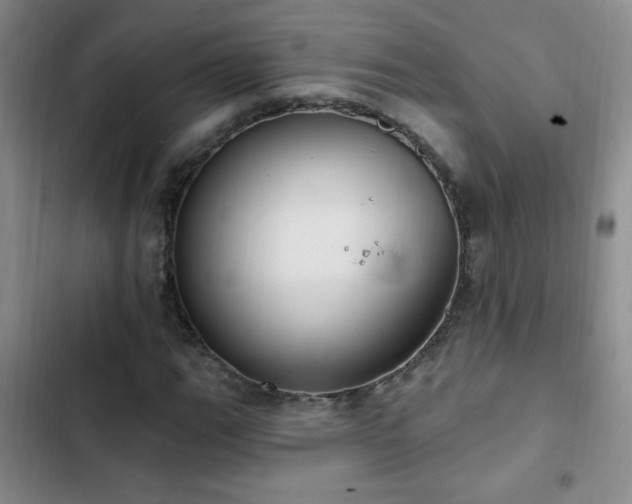 X0000102851111200808181411