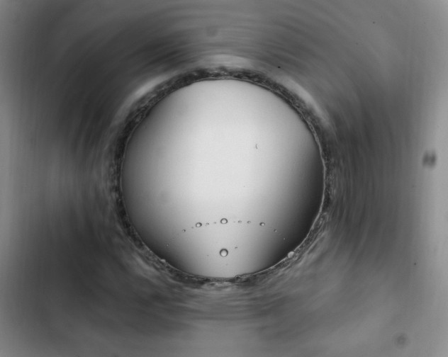 X0000102851112200808181411