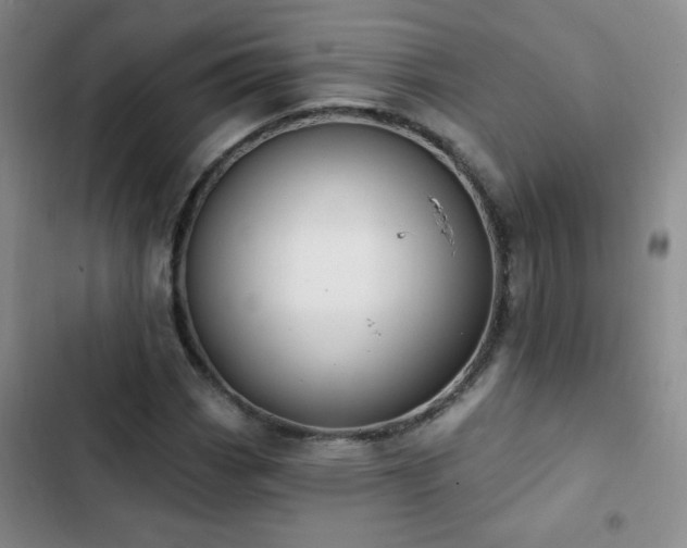 X0000102851113200808181411