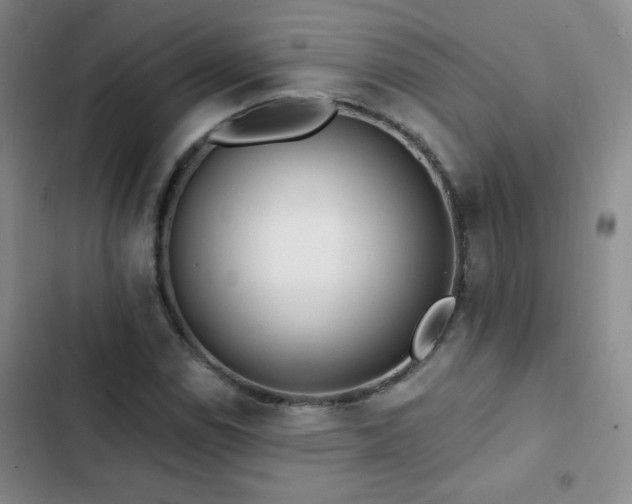 X0000102851114200808181411