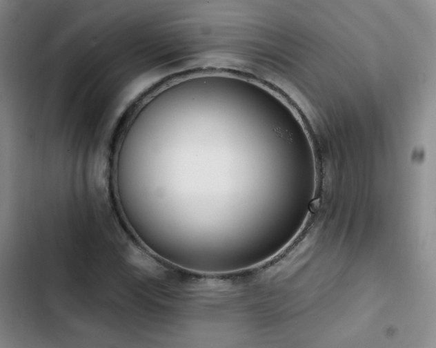 X0000102851115200808181411