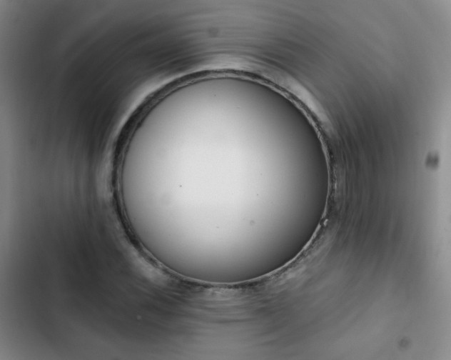 X0000102851116200808181411