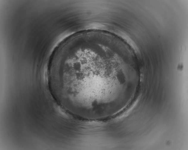 X0000102851117200808181411