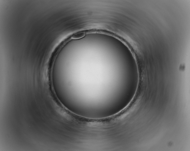 X0000102851118200808181411