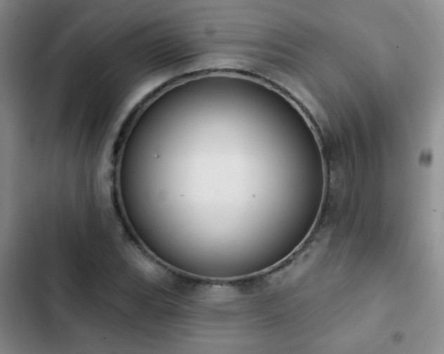 X0000102851119200808181411