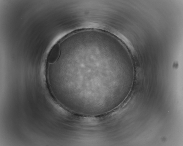 X0000102851120200808181411