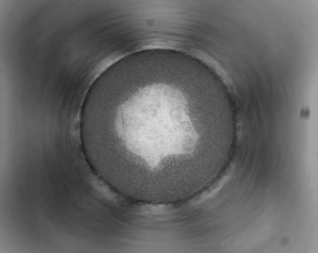 X0000102851121200808181411