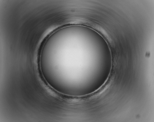 X0000102851122200808181411