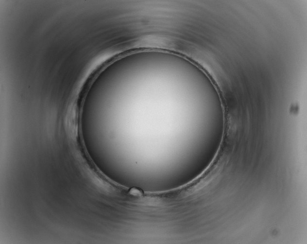 X0000102851123200808181411