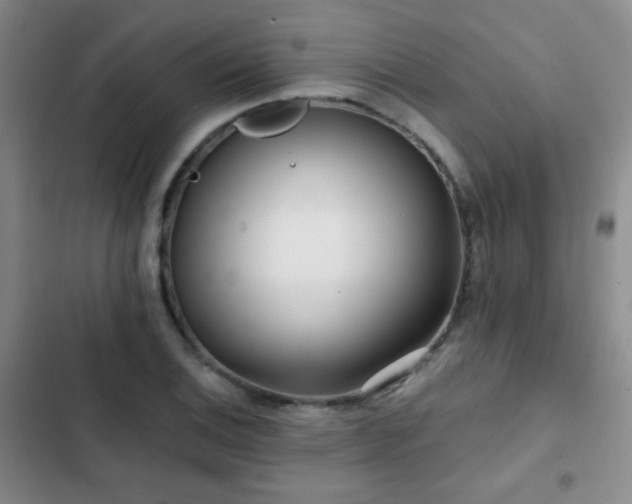 X0000102851124200808181411