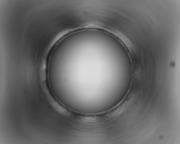 X0000102851126200808181411