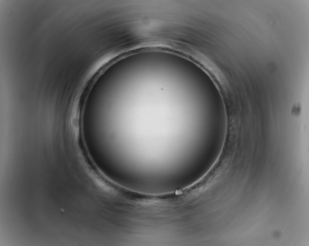 X0000102851127200808181411