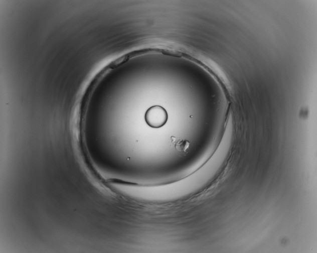 X0000102851128200808181411