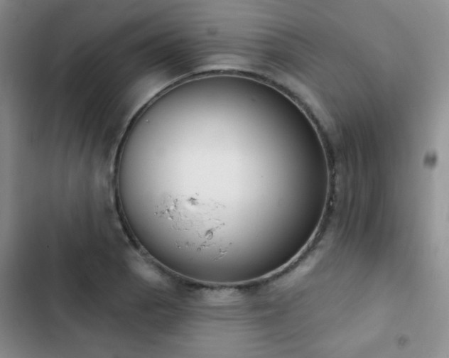 X0000102851129200808181411