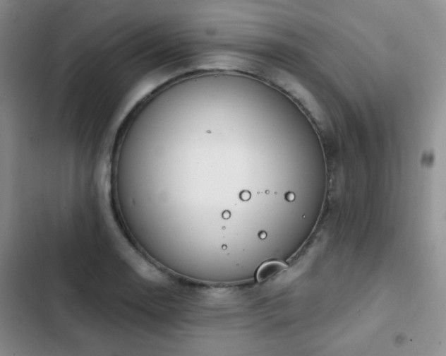 X0000102851130200808181411