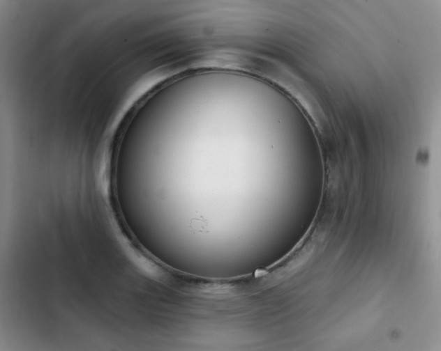 X0000102851131200808181411