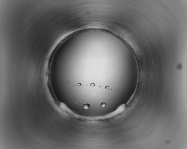 X0000102851132200808181411
