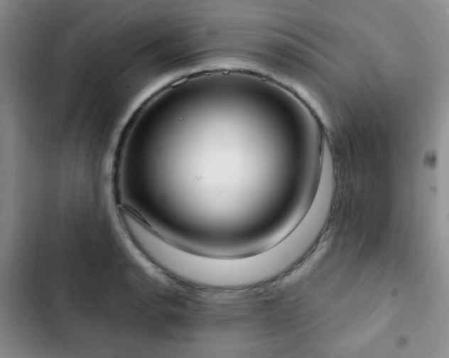 X0000102851134200808181411