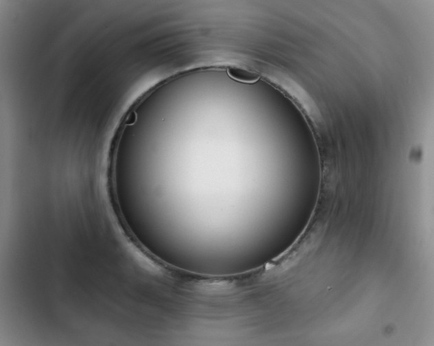 X0000102851135200808181411