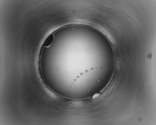 X0000102851136200808181411