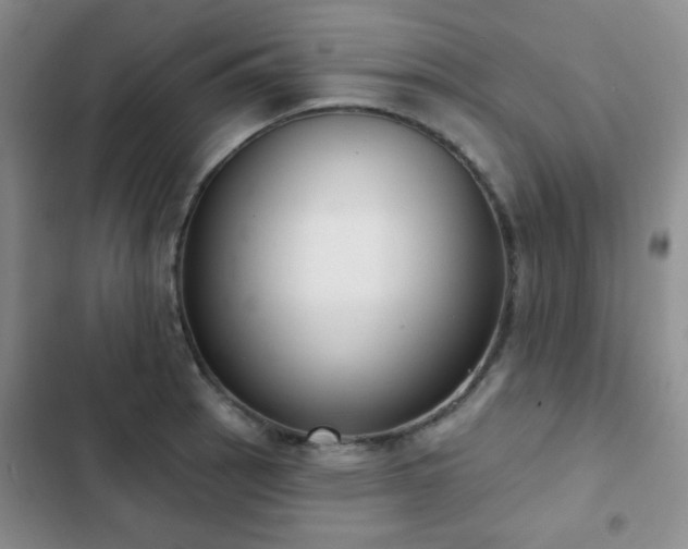 X0000102851137200808181411