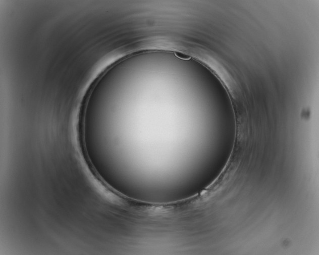 X0000102851139200808181411