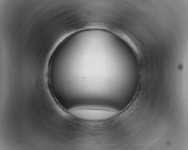 X0000102851140200808181411
