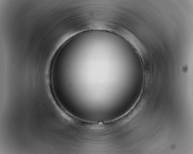 X0000102851141200808181411