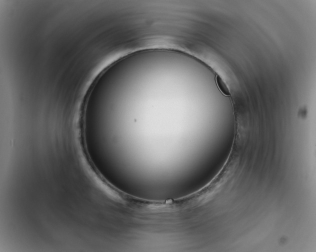 X0000102851142200808181411