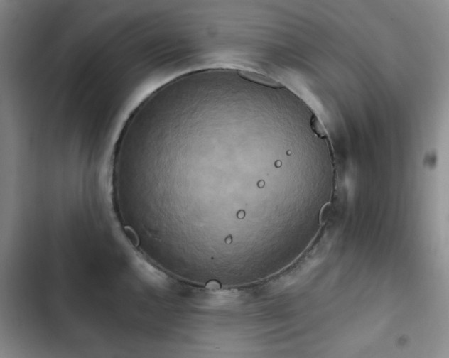 X0000102851144200808181411