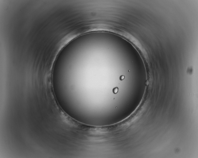 X0000102851145200808181411