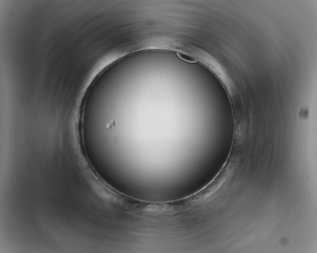 X0000102851146200808181411