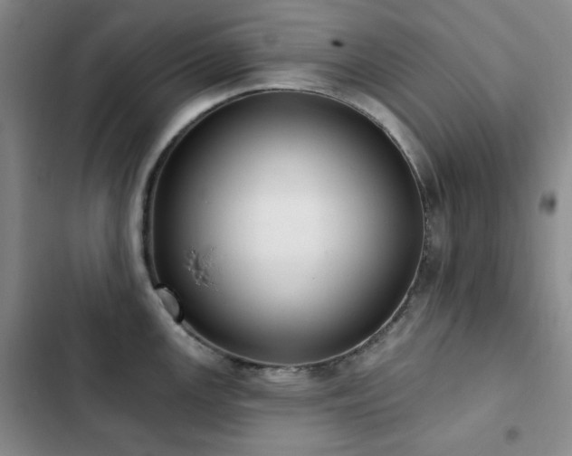 X0000102851147200808181411