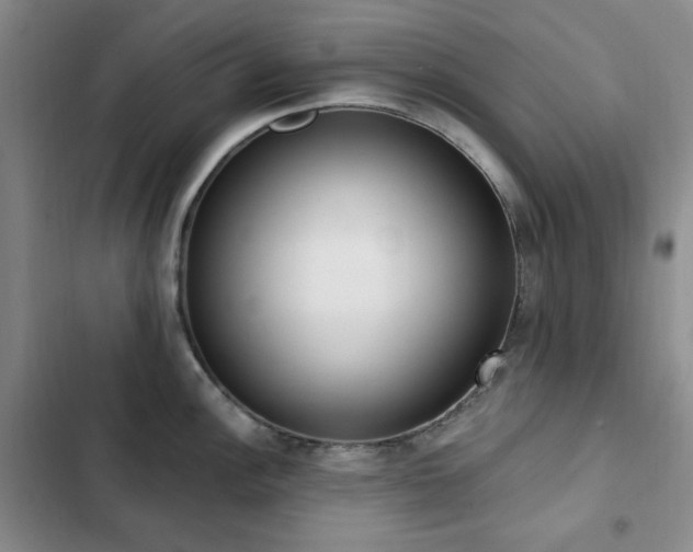 X0000102851148200808181411