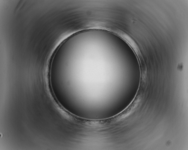 X0000102851149200808181411