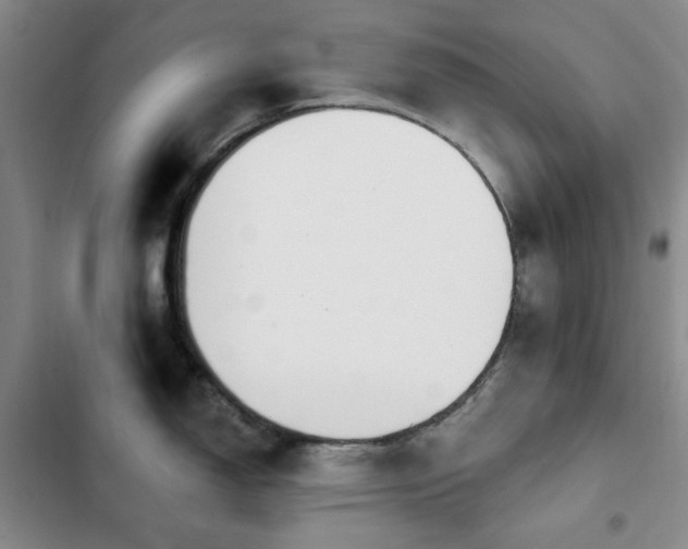 X0000102851150200808181411