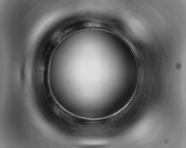 X0000102851151200808181411