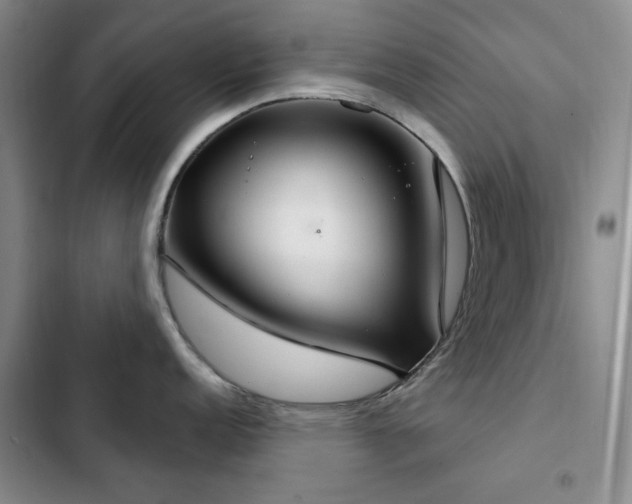 X0000102851152200808181412