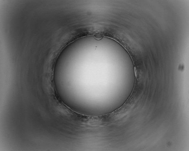 X0000102851153200808181411