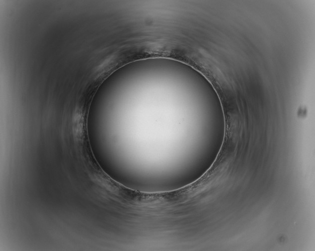 X0000102851154200808181411