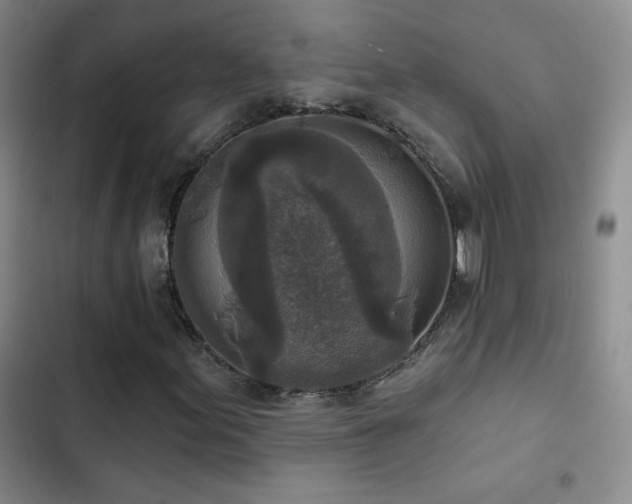 X0000102851155200808181411