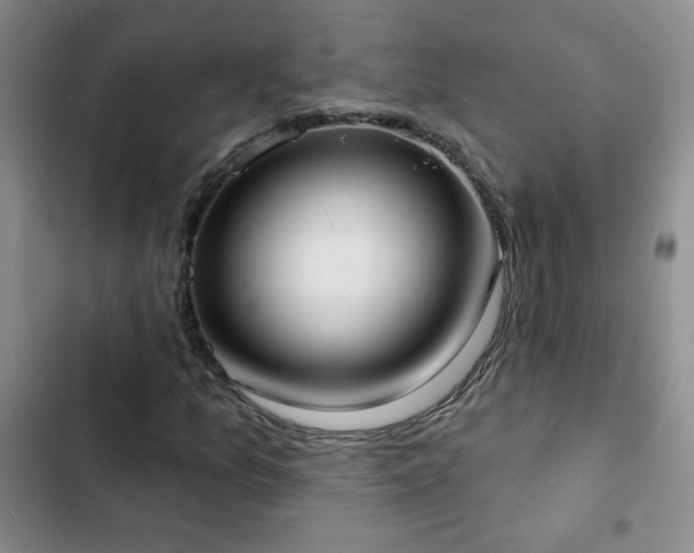 X0000102851157200808181411