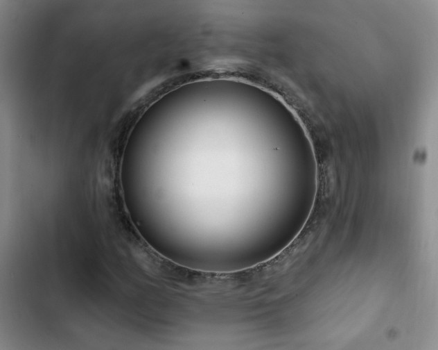 X0000102851158200808181411