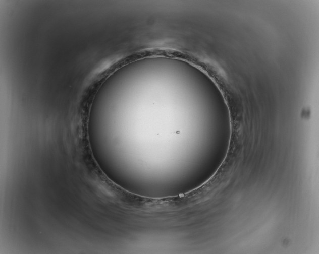 X0000102851159200808181411