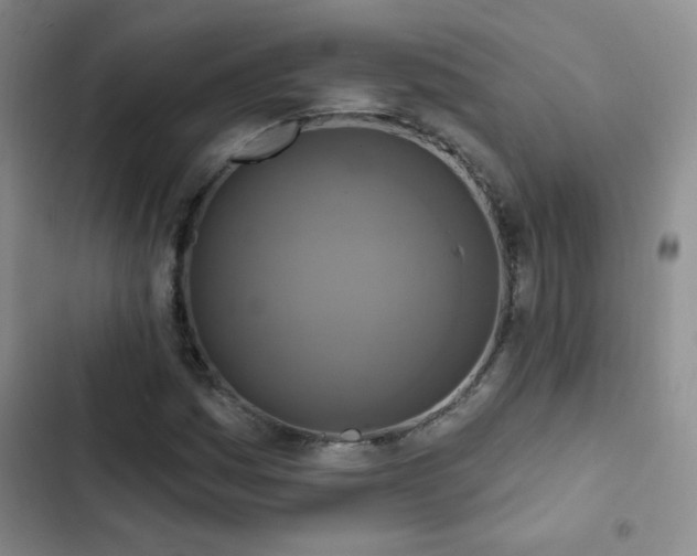 X0000102851161200808181411