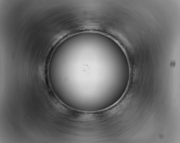 X0000102851162200808181411