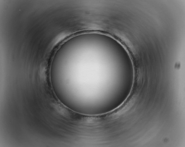 X0000102851163200808181411